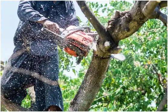 tree services Merrill